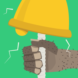 Evolūcijas signāli zīmoliem