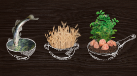 LIDO iestājas par to, kas īsts