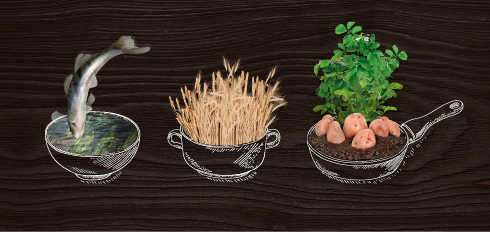 LIDO iestājas par to, kas īsts