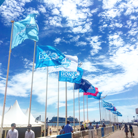 A Subjective Selection at Cannes with an Emphasis on Cleverness