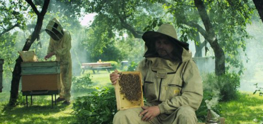 LMT: "Viedtālruņi"