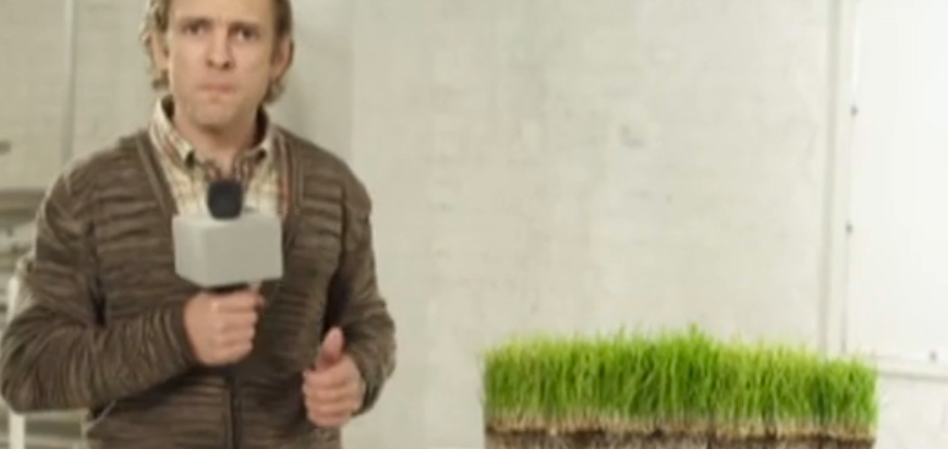 OKarte: "Kaut vēro, kā zāle aug..." 2. daļa