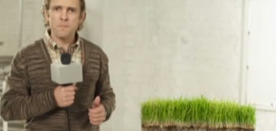 OKarte: "Kaut vēro, kā zāle aug..." 2. daļa