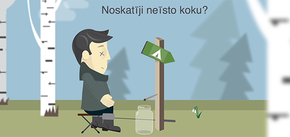 Noskatīji neīsto koku?