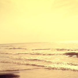 OKarte: "Brīvi no visa!"