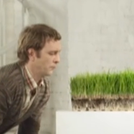 OKarte:"Watch how the grass grows, if you want..."