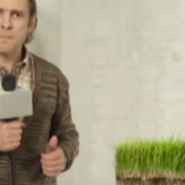 OKarte: "Kaut vēro, kā zāle aug..." 2. daļa