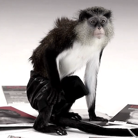 Rigas Laiks festival