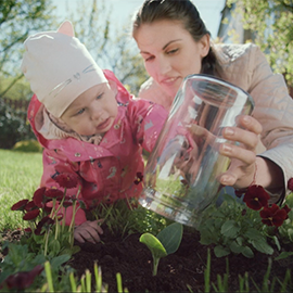 maxima - mēs cenšamies!